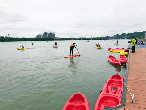 选手整装待发 柳州杯 城市皮划艇 桨板练习赛今日开赛